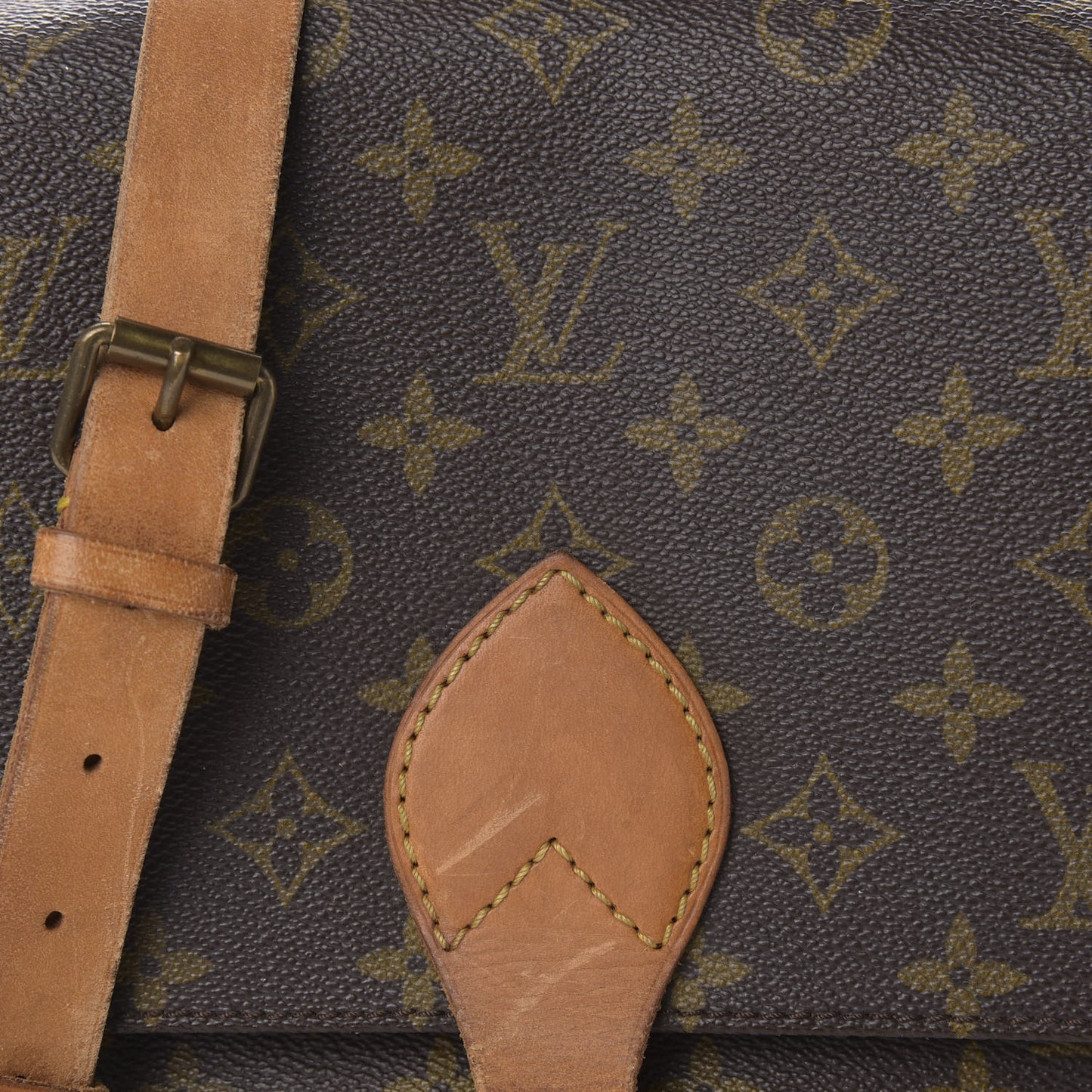 Monogram Cartouchiere 22