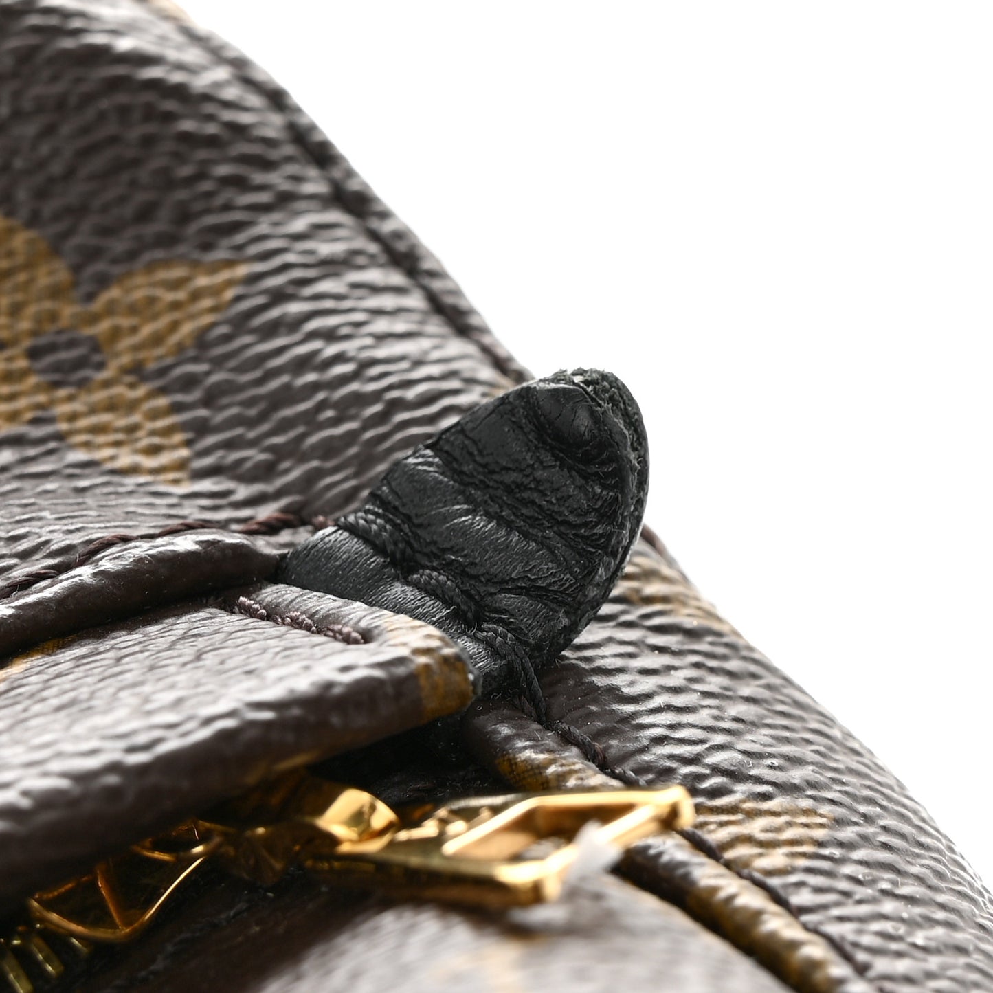 Monogram Palm Springs Backpack Mini