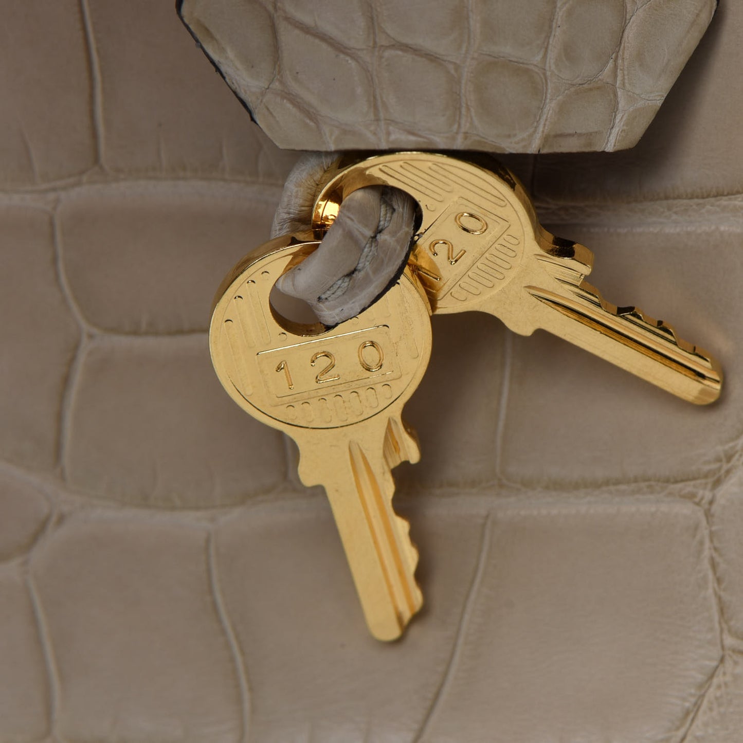 Matte Alligator Birkin 25 Trench