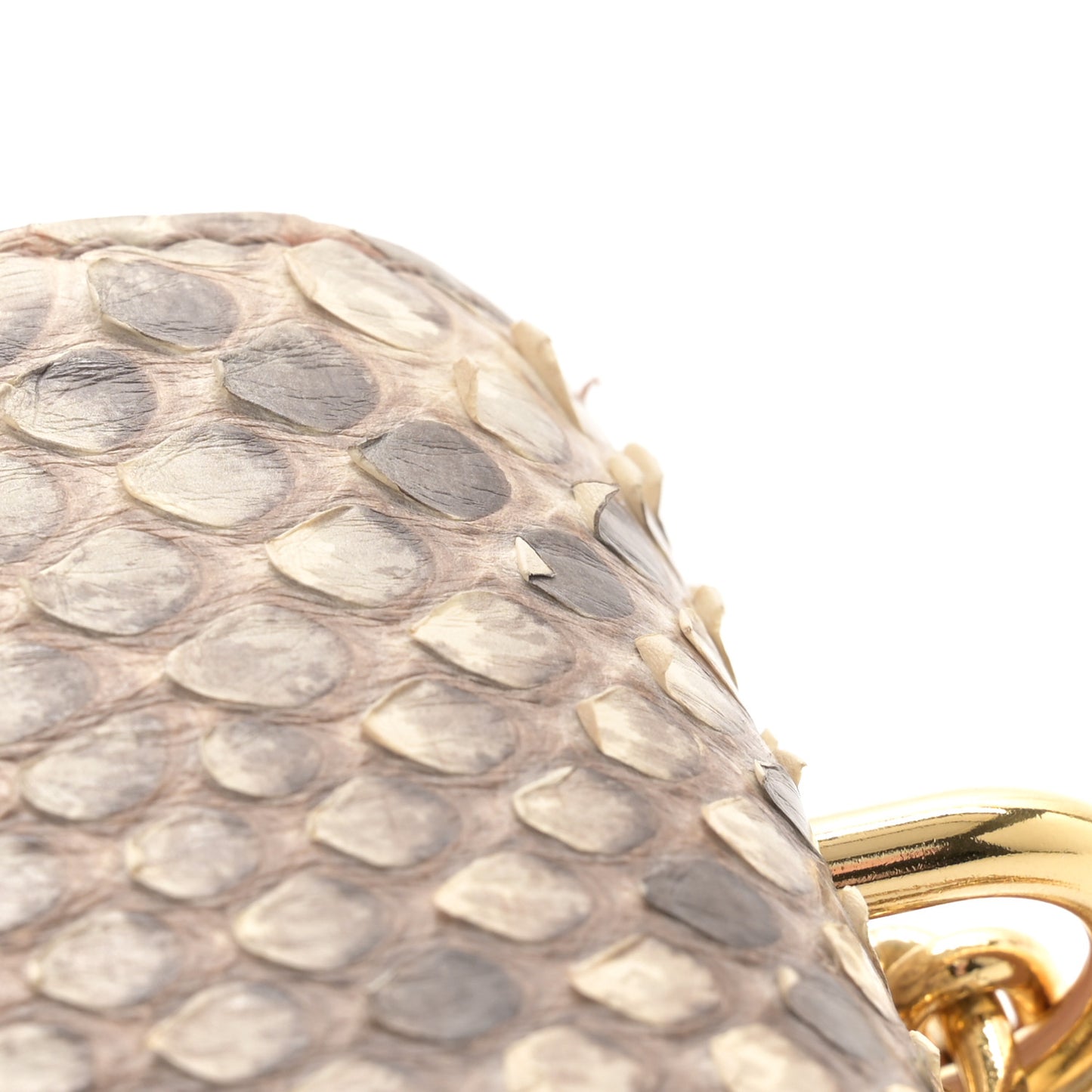 Monogram Snakeskin Saint Placide