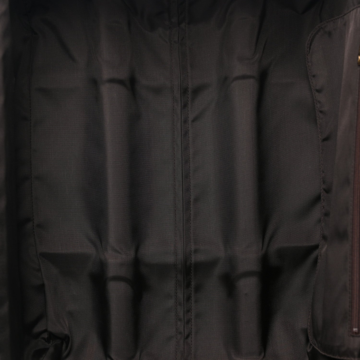 Louis Vuitton Damier Ebene Pegase 55 4 of 15