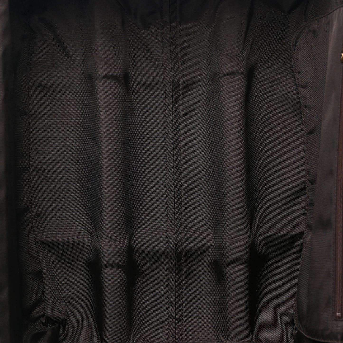 Damier Ebene Pegase 55