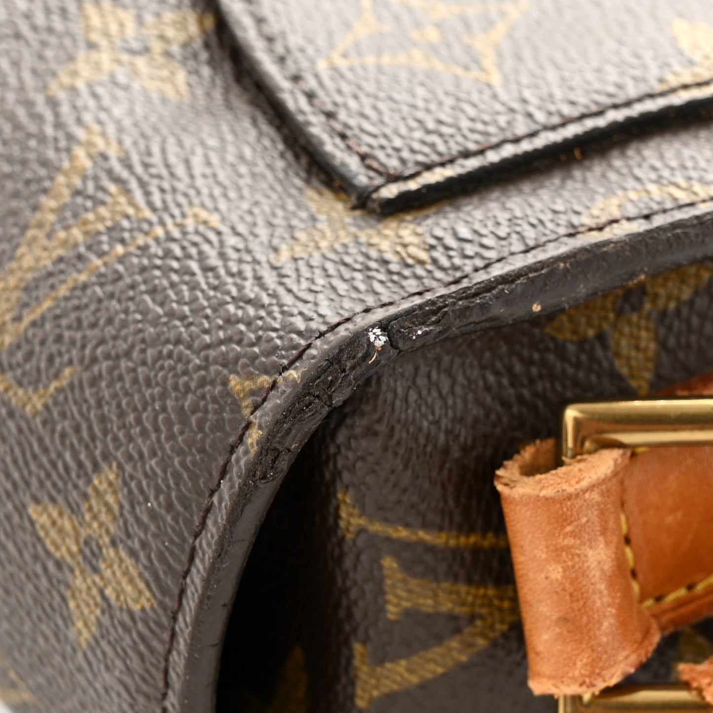 Monogram Saint Cloud GM