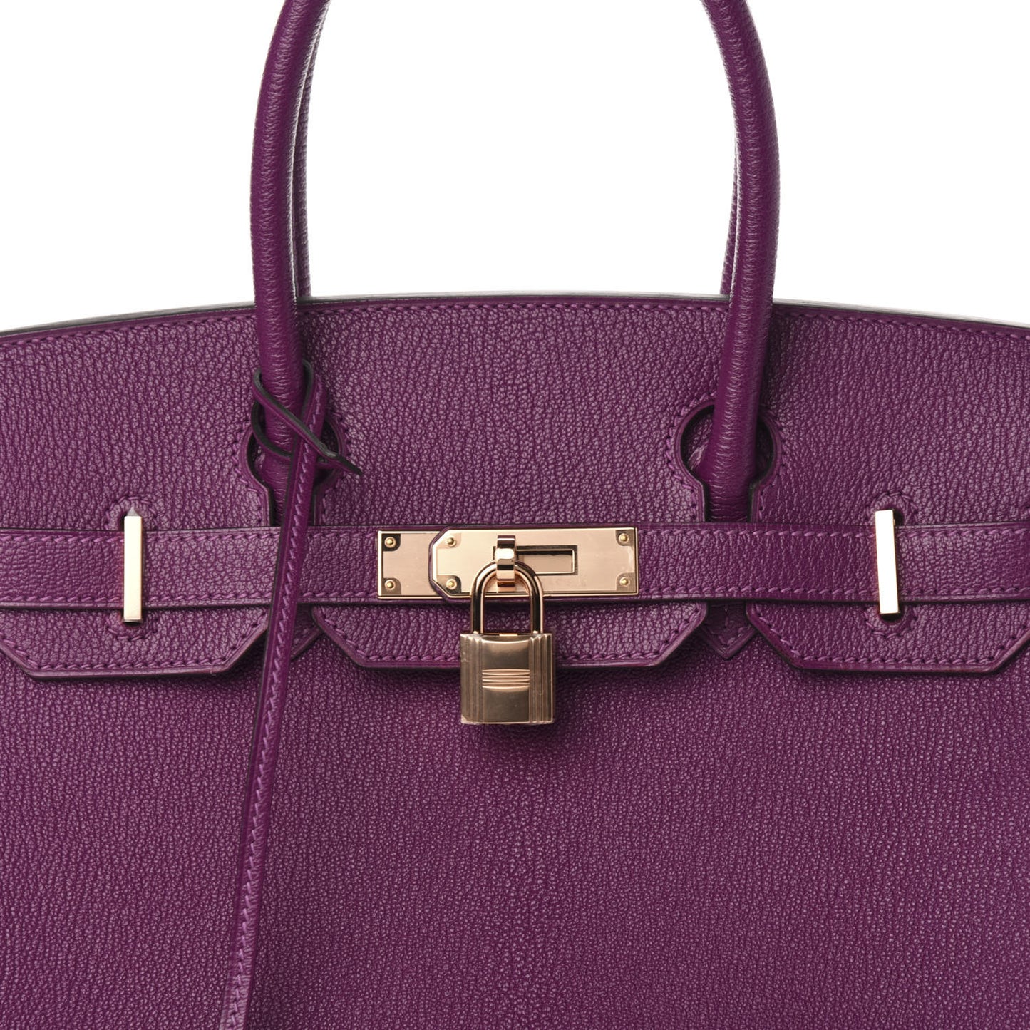 Chevre Mysore Horseshoe Birkin 30 Anemone Rouge de Coeur