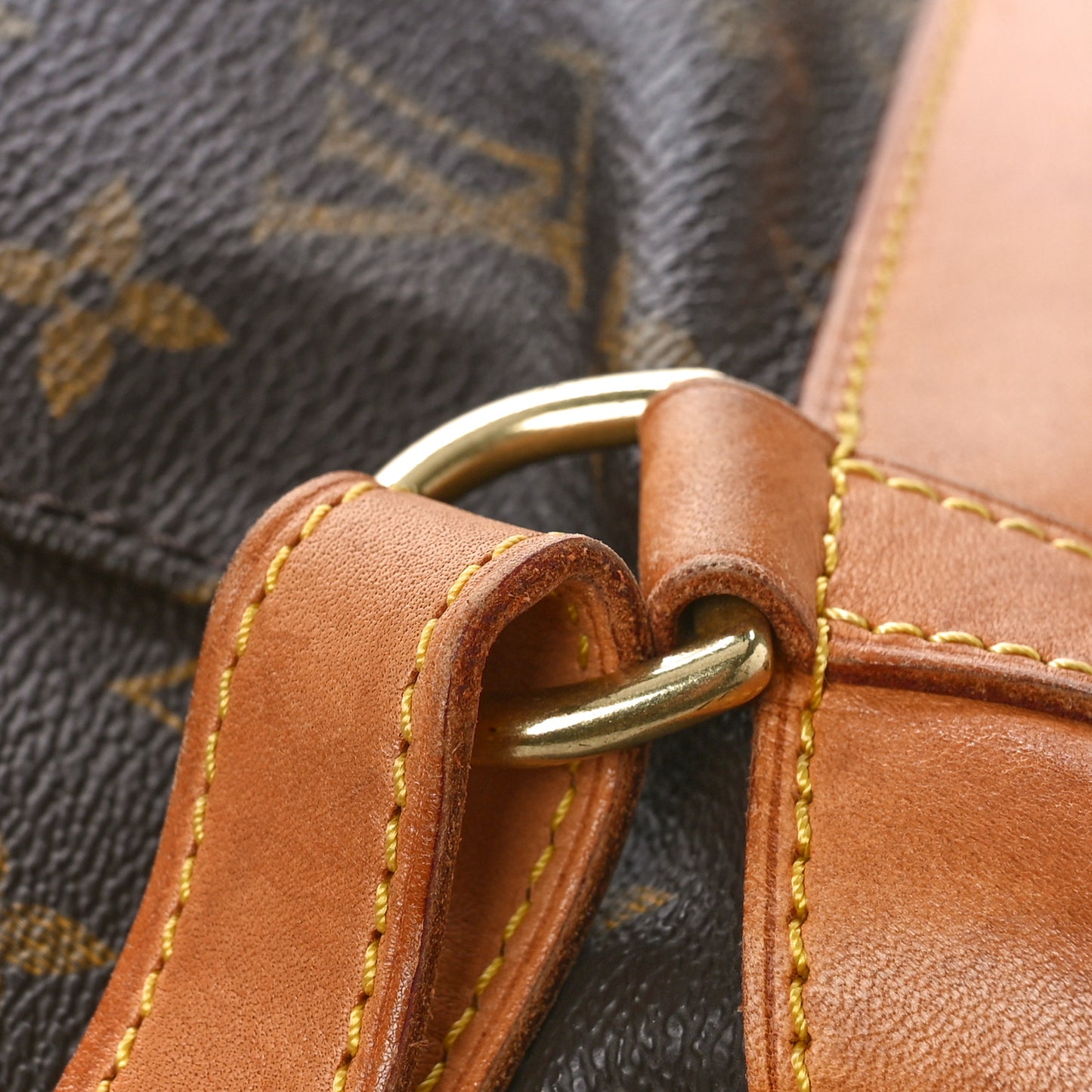 Monogram Montsouris GM Backpack