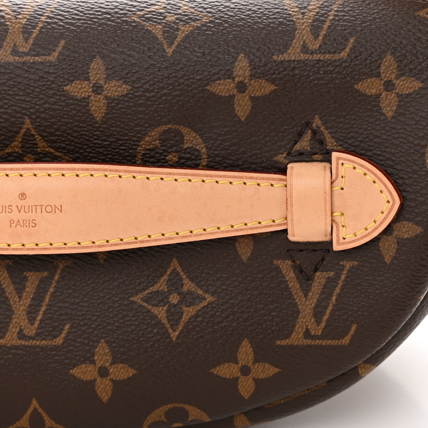 Louis Vuitton Monogram Bumbag 12 of 13