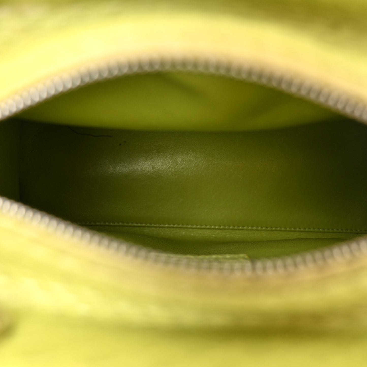 Snakeskin Medium Lady Dior Green