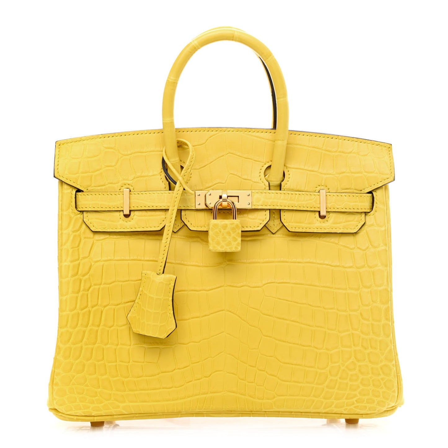 Matte Niloticus Crocodile Birkin 25 Mimosa