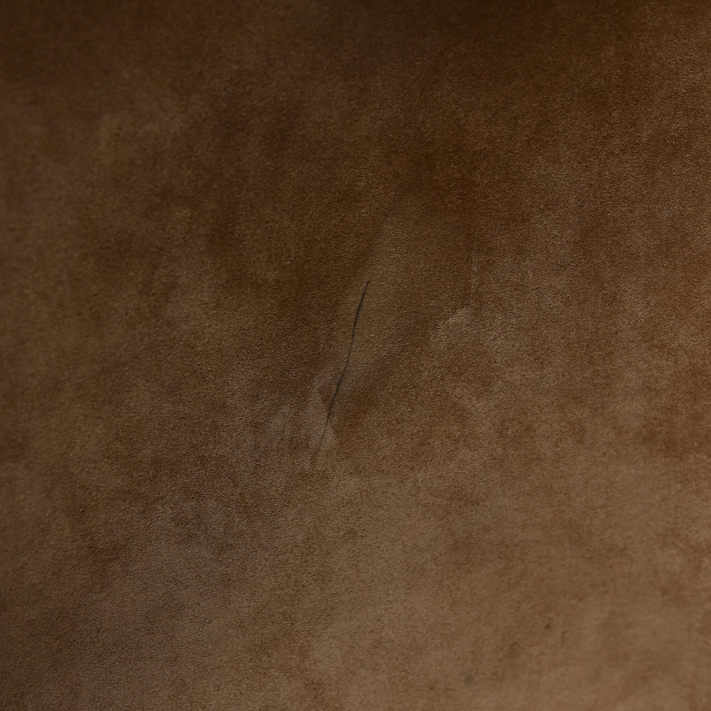 Grained Calfskin Large N/S Park Tote Elephant
