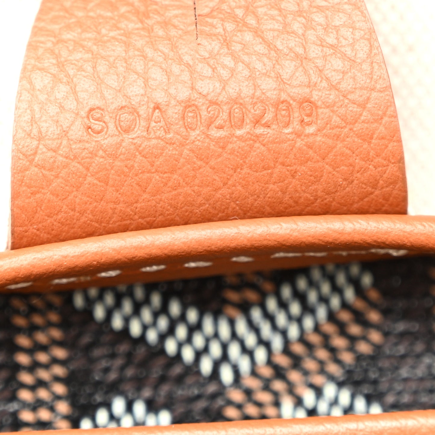 Goyardine Artois MM Black Gold