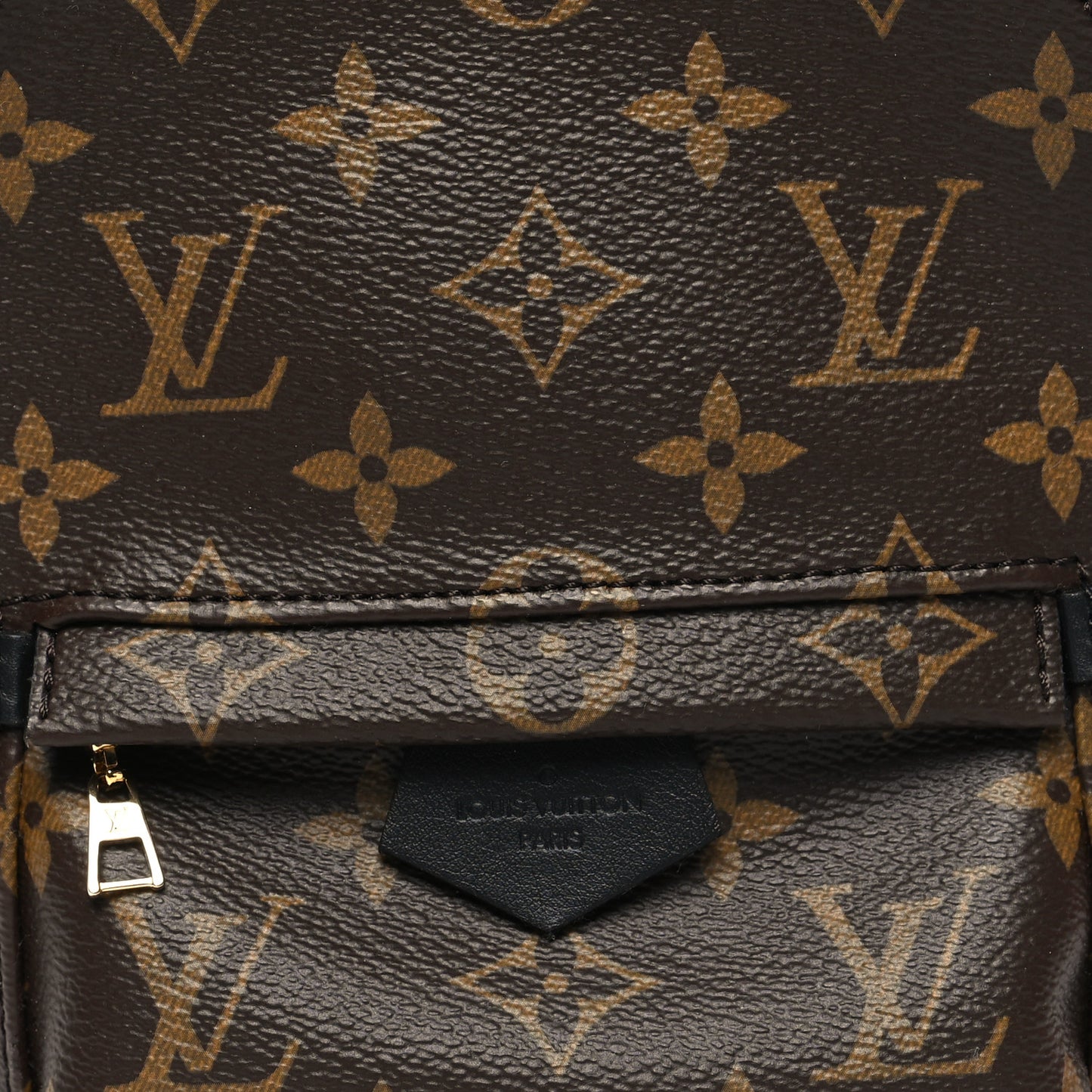 Monogram Palm Springs Backpack Mini