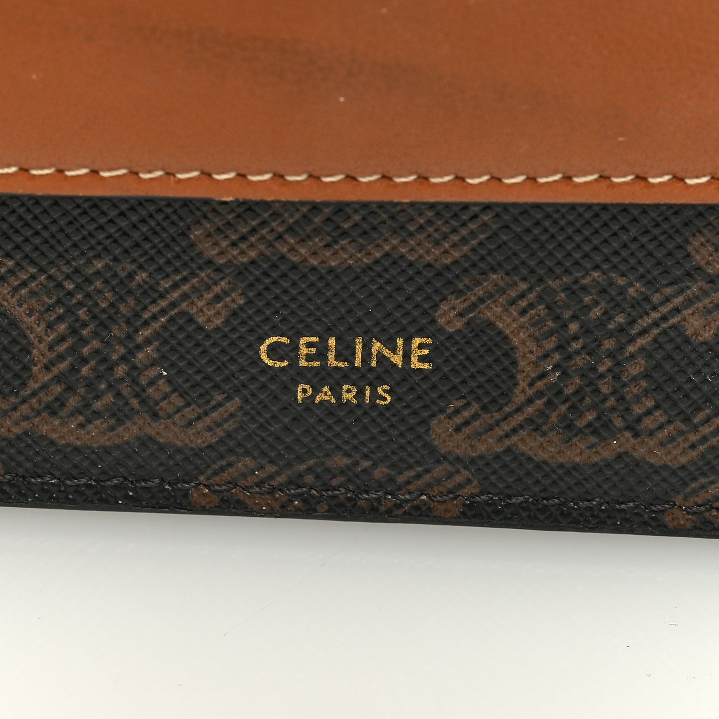 Triomphe Canvas Lambskin Wallet On Strap Tan