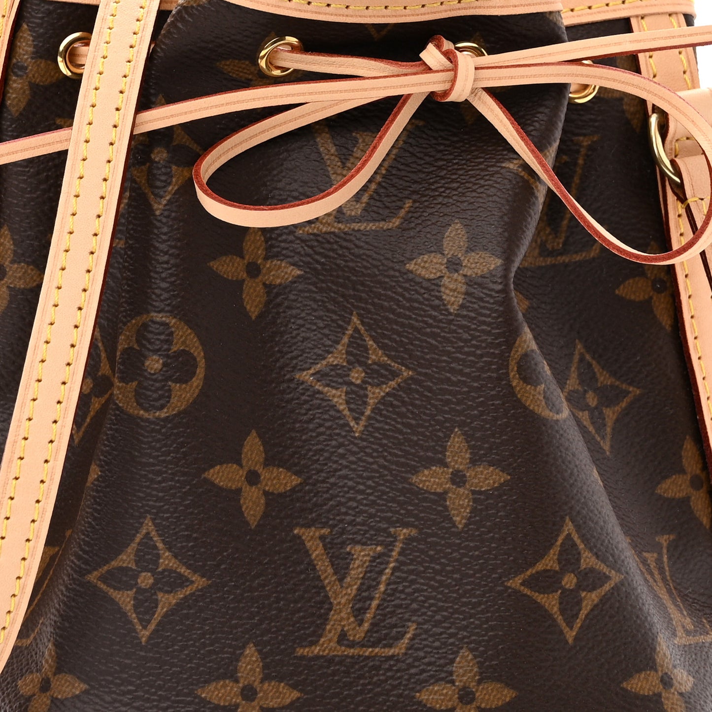 Monogram Nano Noe