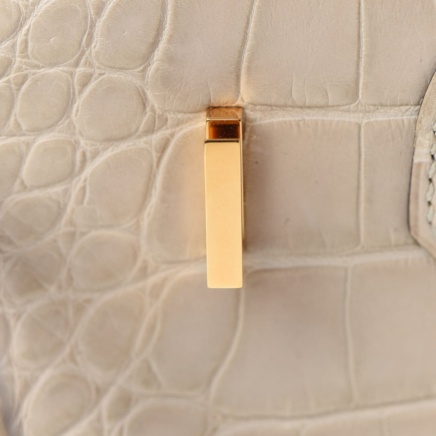 Matte Alligator Birkin 25 Trench