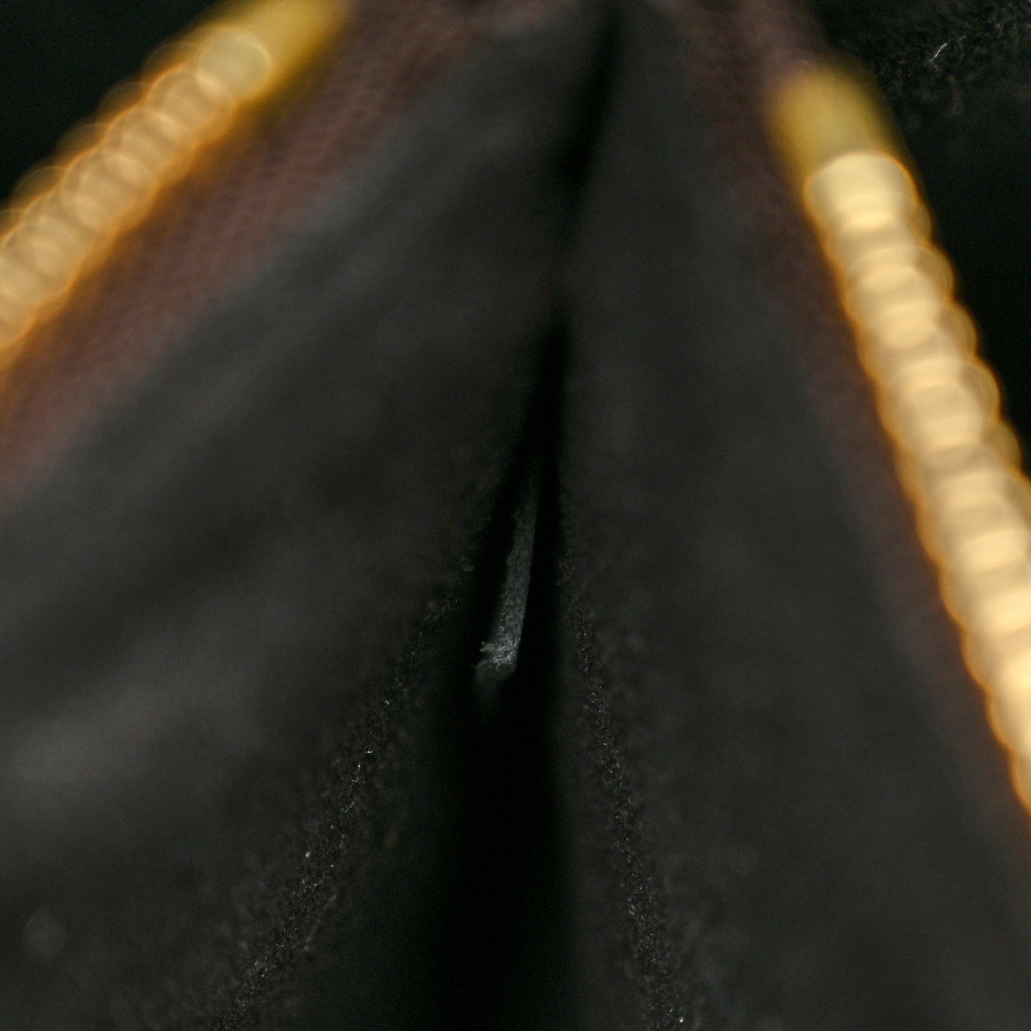 Monogram Neonoe MM Black