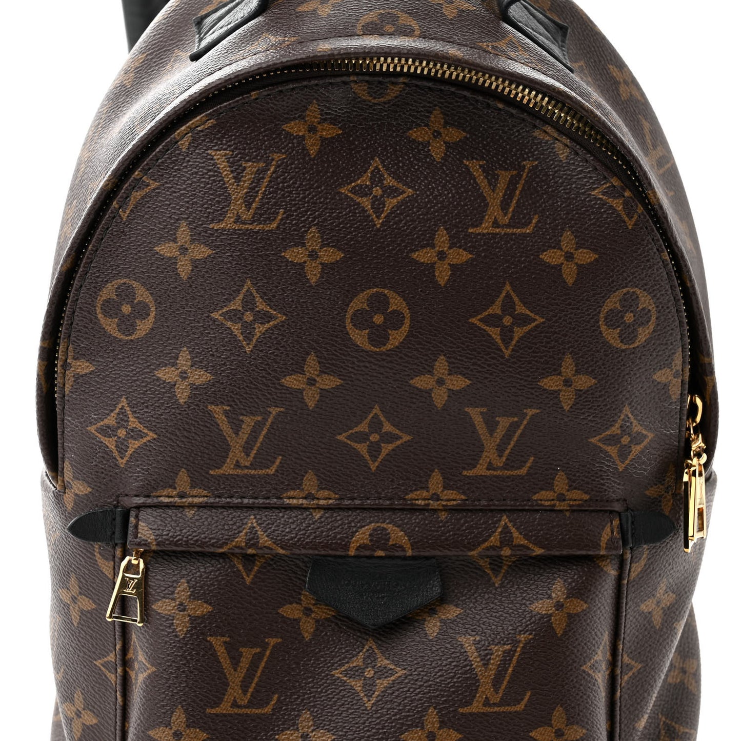 Monogram Palm Springs Backpack PM