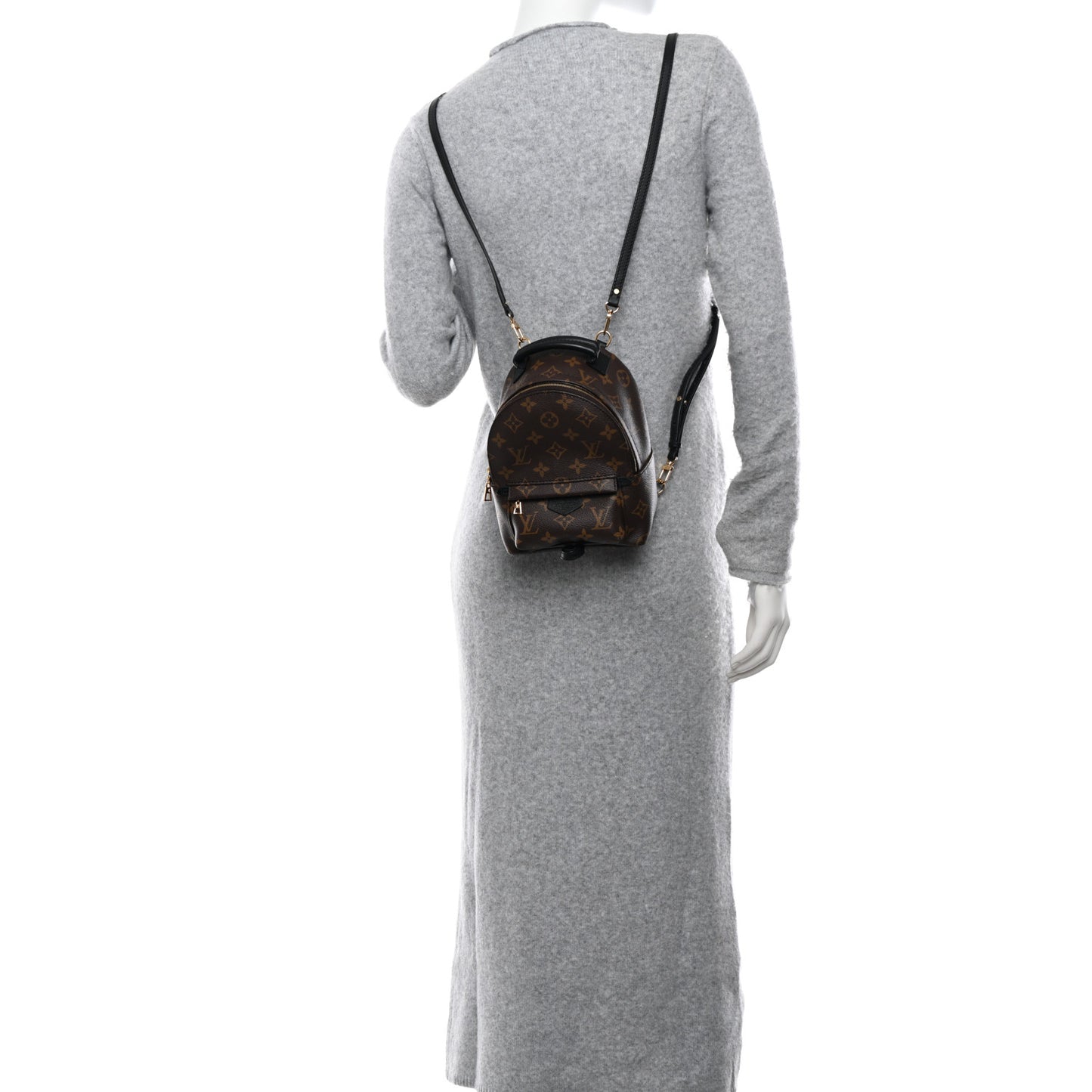 Monogram Palm Springs Backpack Mini