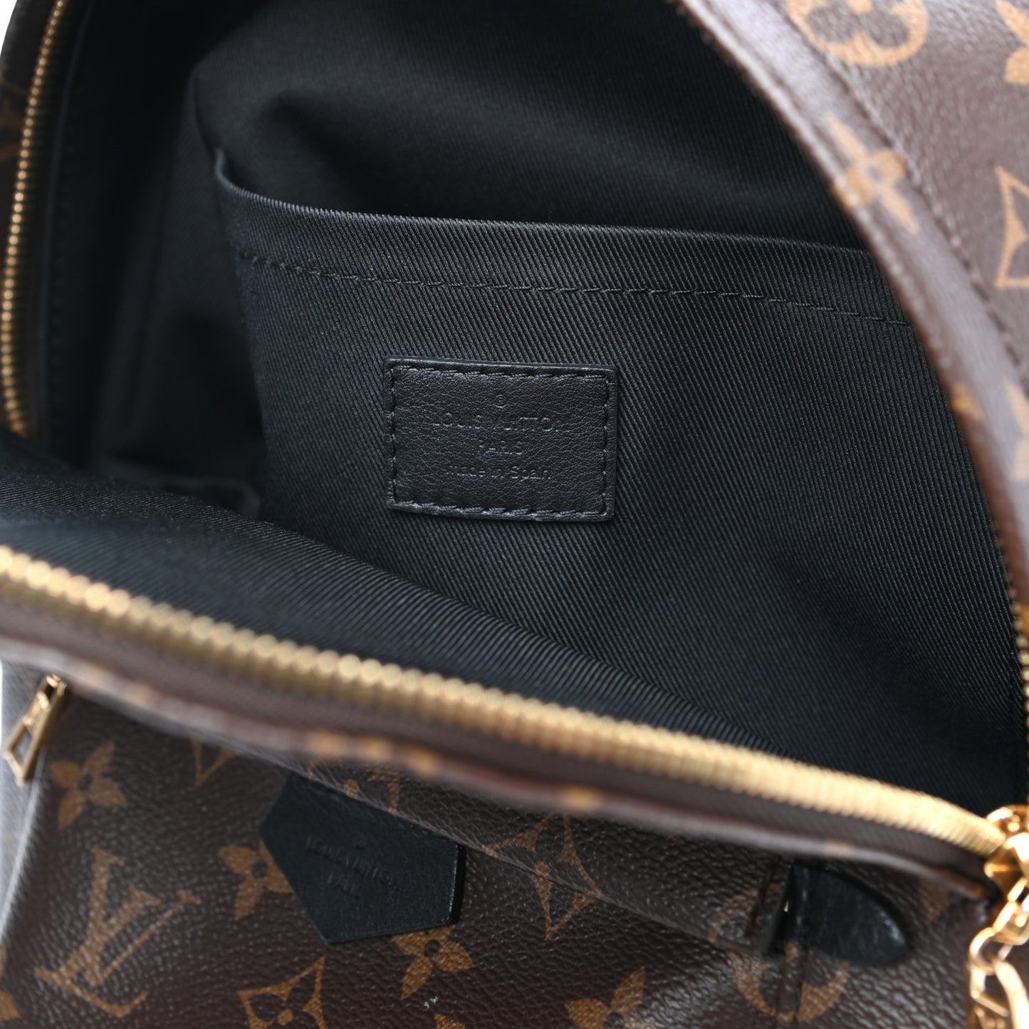 Monogram Palm Springs Backpack PM