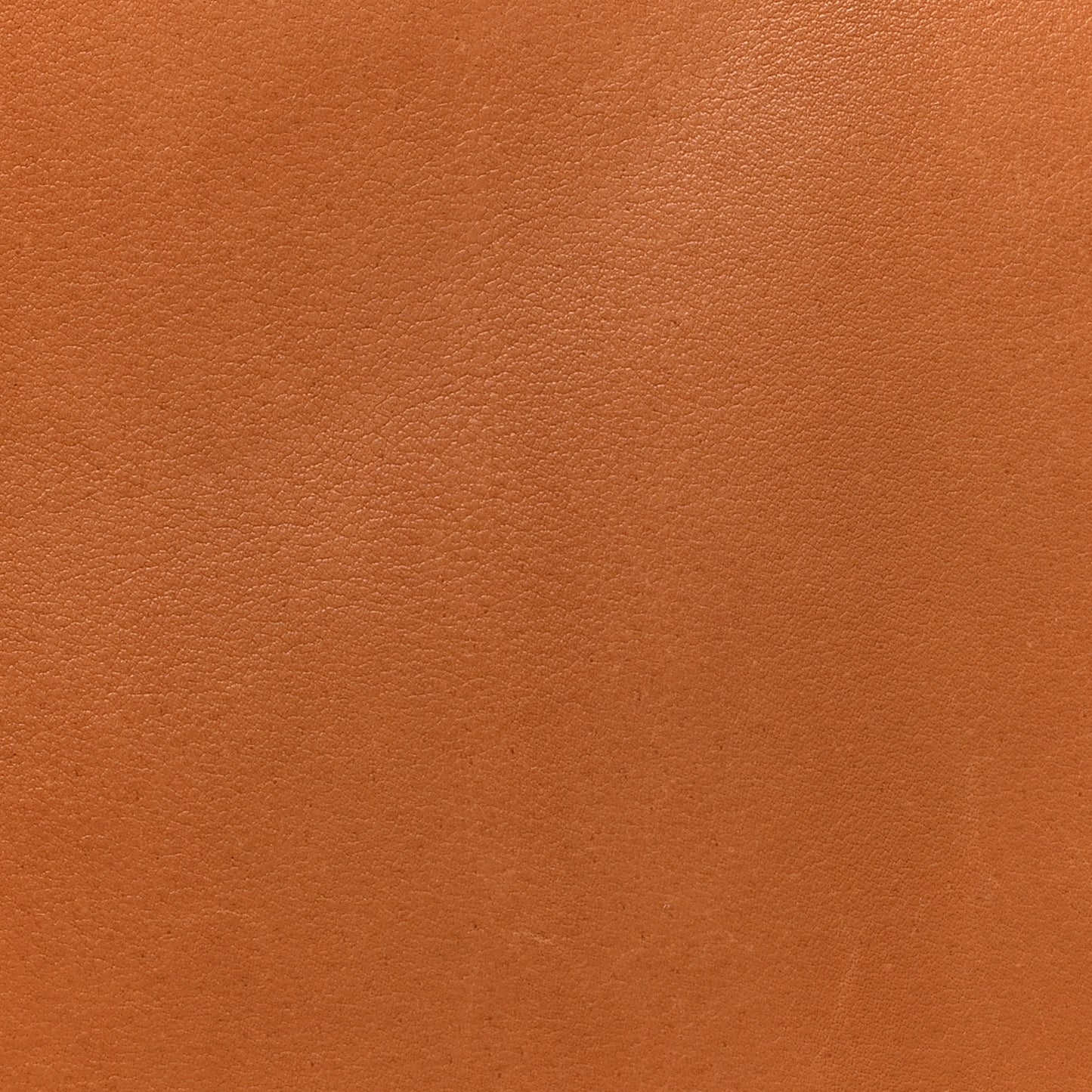 Cuir Millesime Porte-Documents Voyage PM Tan