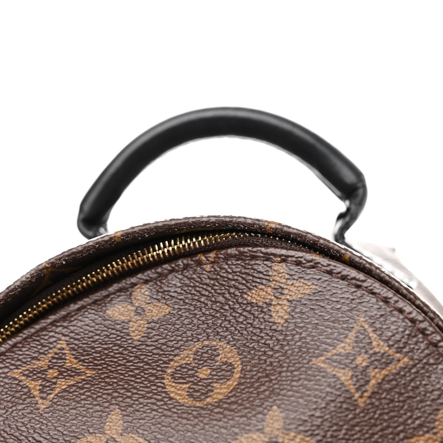 Monogram Palm Springs Backpack Mini