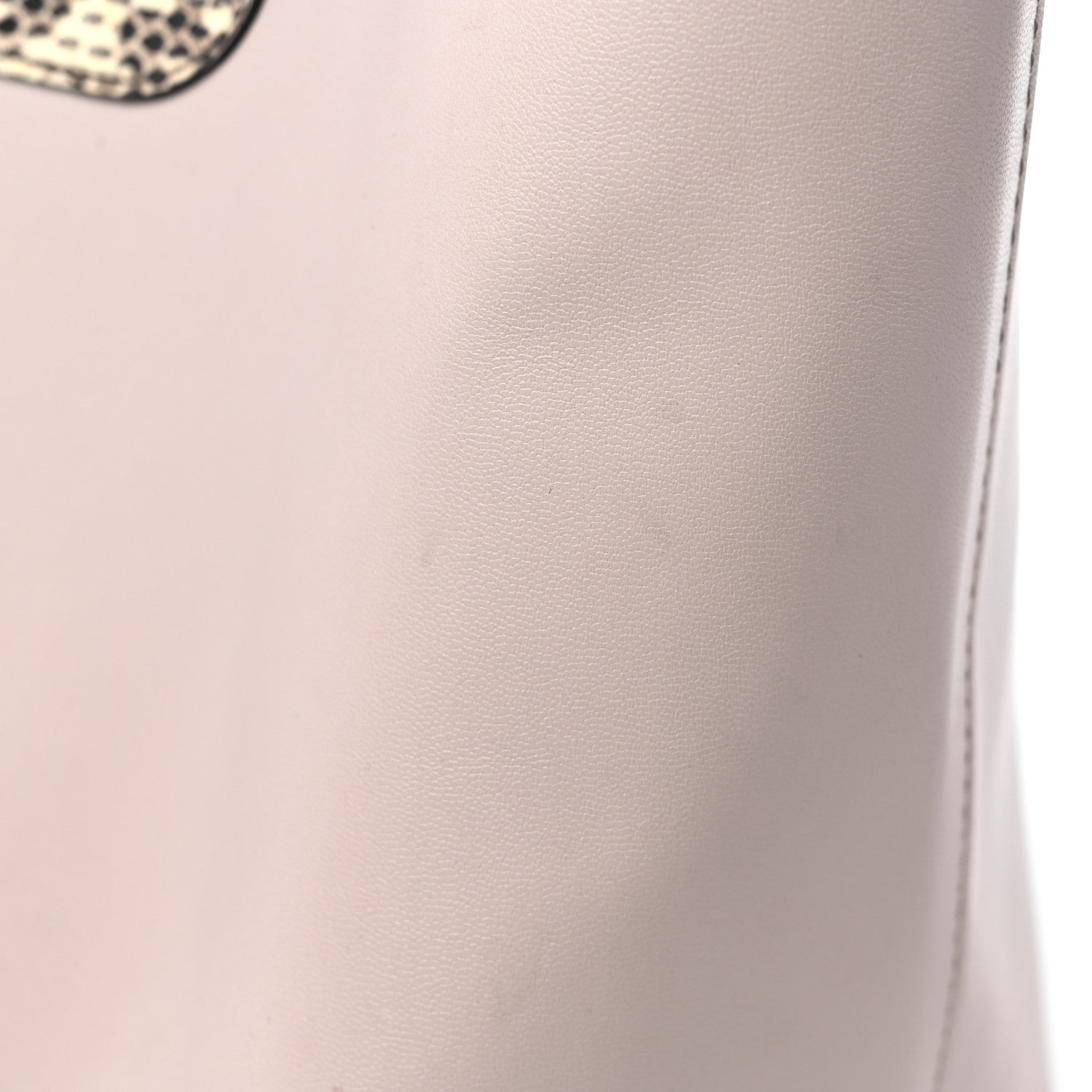 Fendi Vitello Ginevra Elaphe Monster Eyes Shopping Tote Grigio Polvere Naturale 19 of 19
