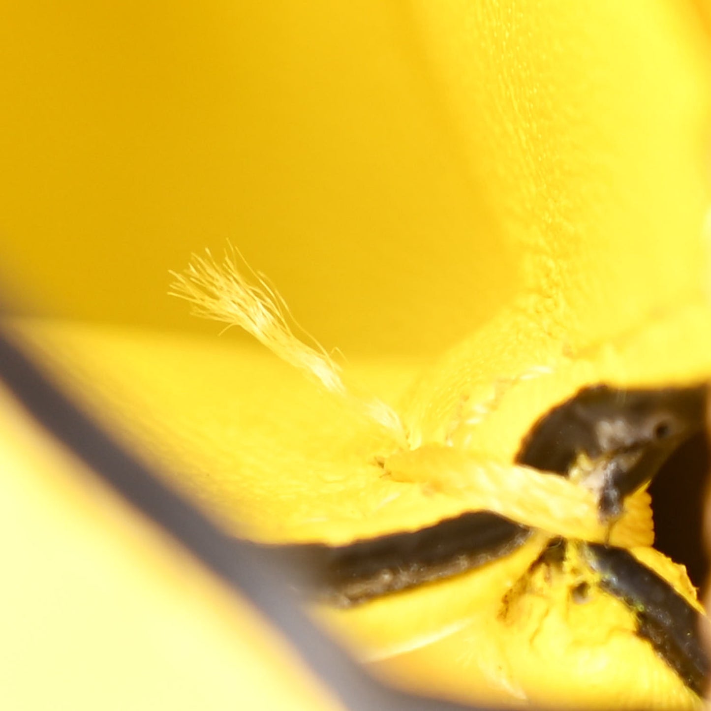 Nappa Nano Peekaboo Satchel Limone