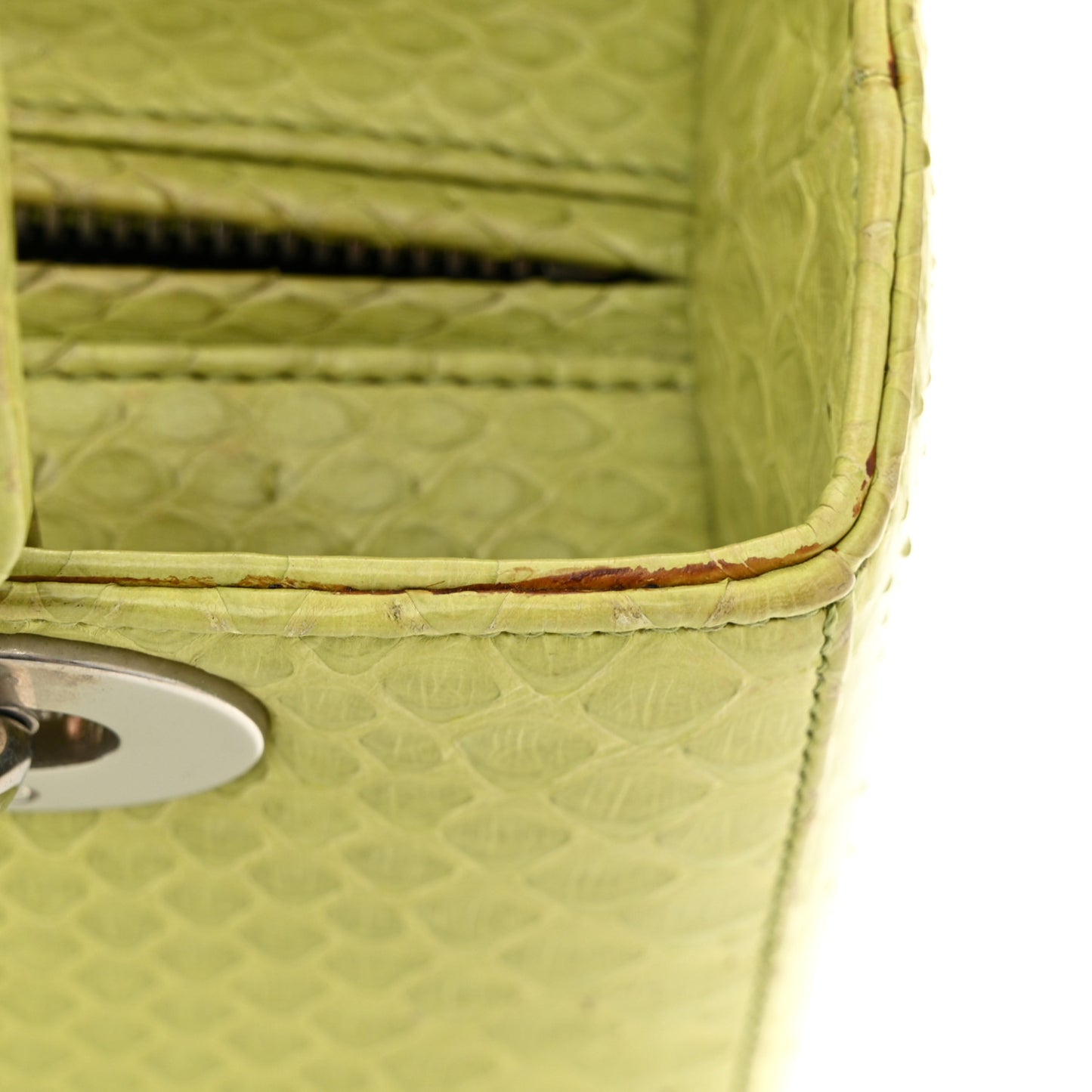 Snakeskin Medium Lady Dior Green
