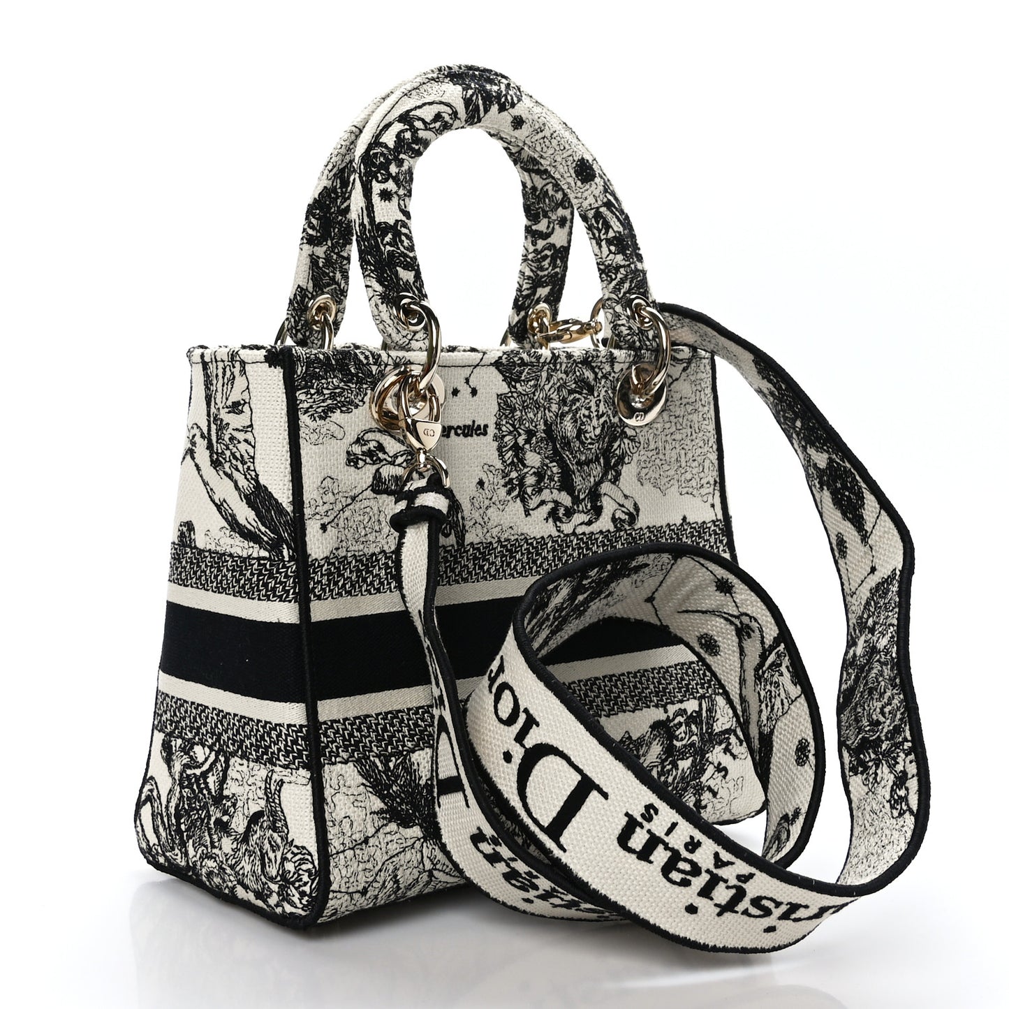 Canvas Embroidered Zodiac Toile De Jouy Medium Lady D-Lite Latte