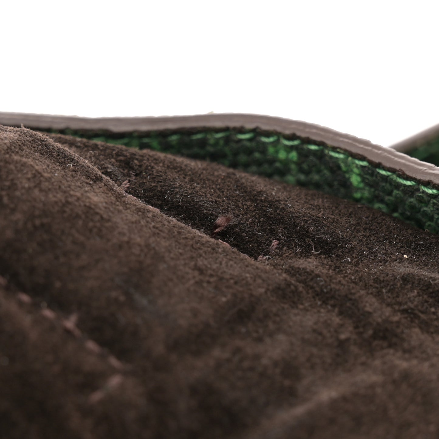 Lizard Print Travel Day Grass Green