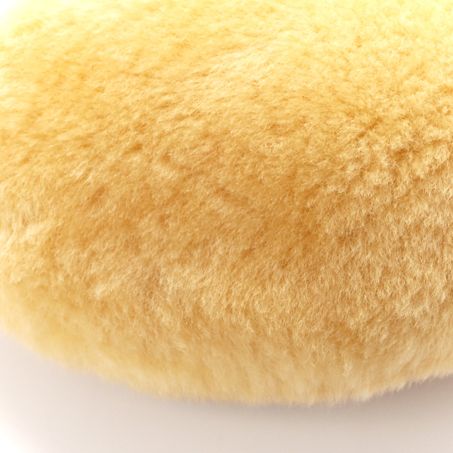 Shearling Lambskin Mini Jodie Teddy