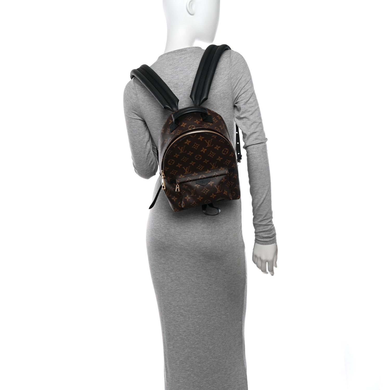 Louis Vuitton Monogram Palm Springs Backpack PM 2 of 9