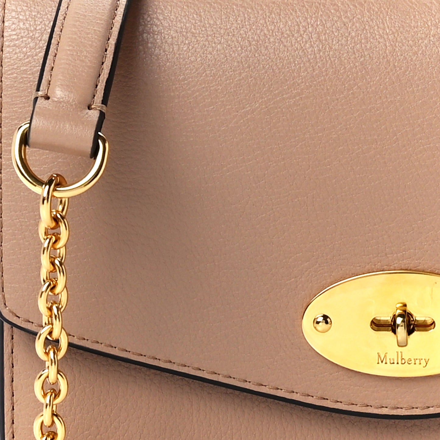 Small Classic Grain Calfskin Small Darley Dune