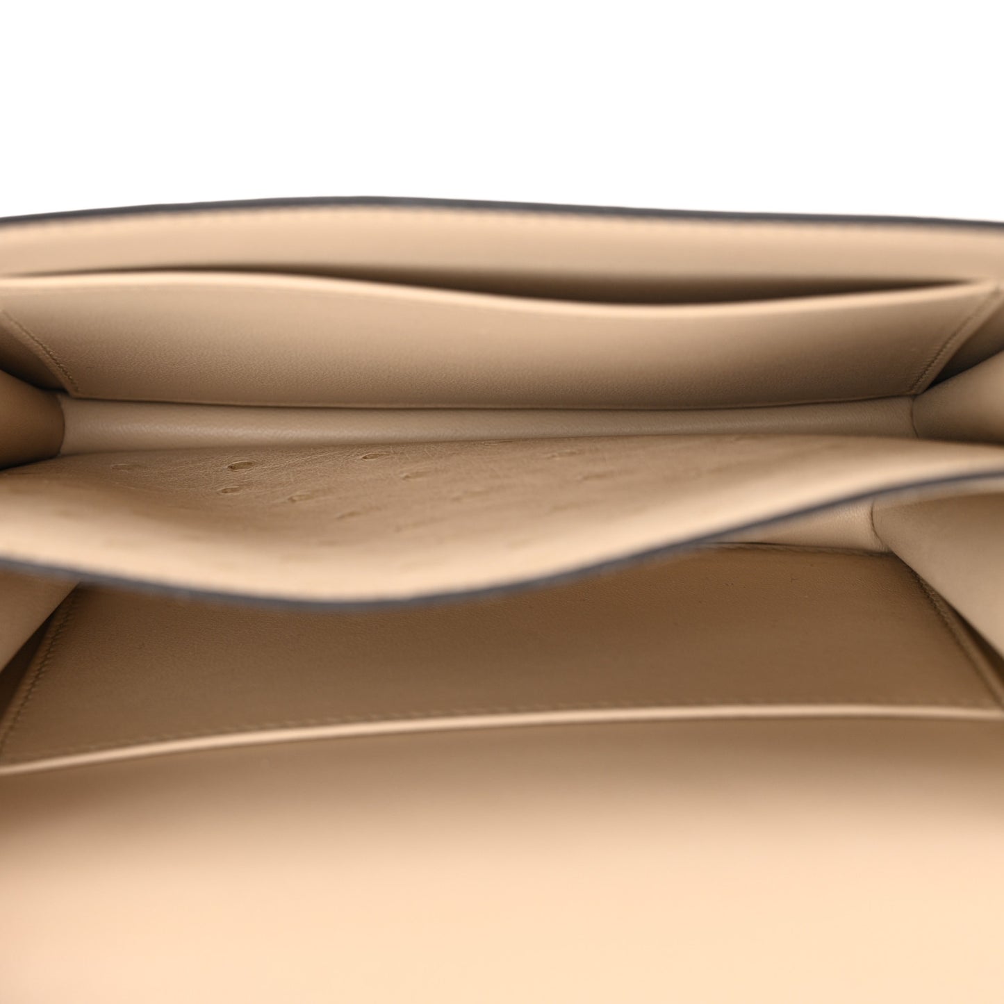 Ostrich Constance 18 Parchemin