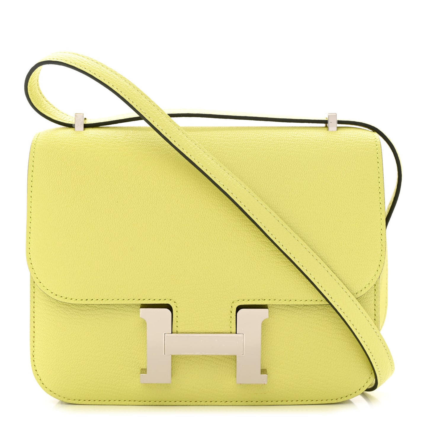 Chevre Mysore Constance 18 Jaune Bourgeon