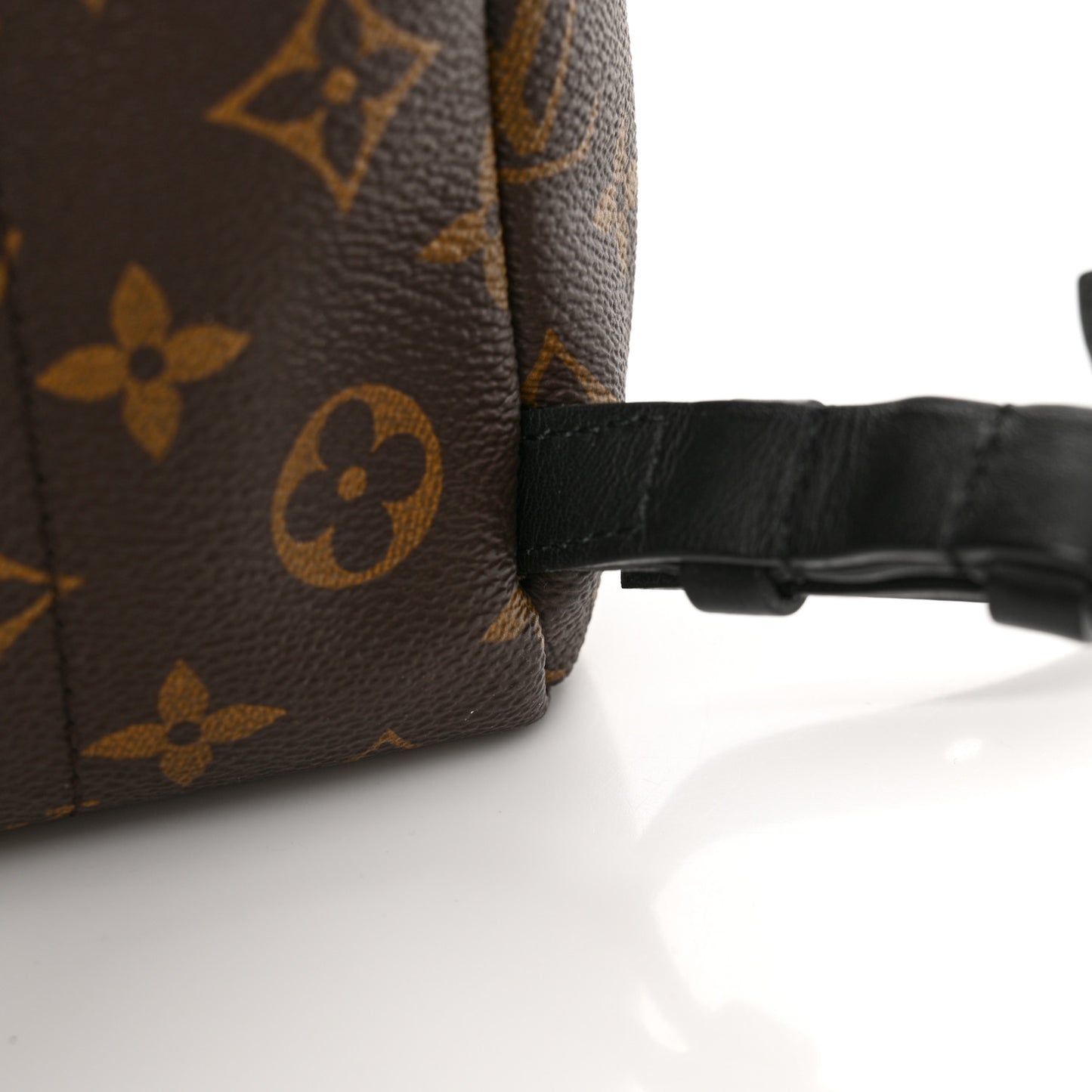 Monogram Palm Springs Backpack PM