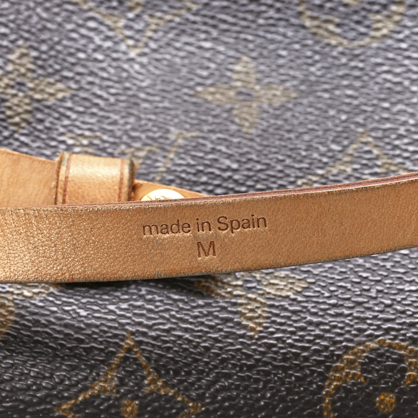 Monogram Pochette Florentine M