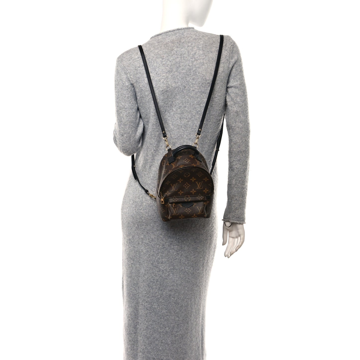 Monogram Palm Springs Backpack Mini