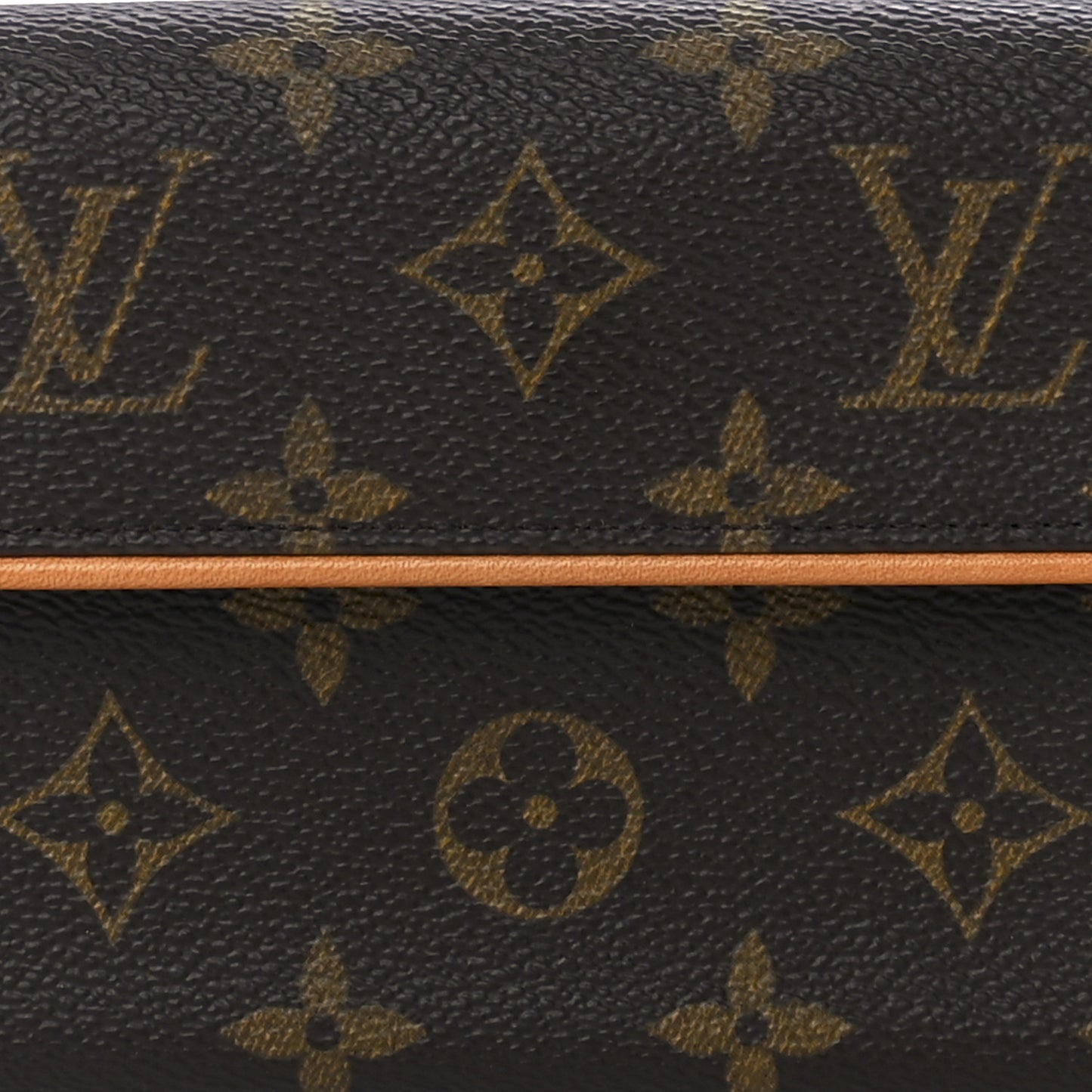 Monogram Pochette Florentine M