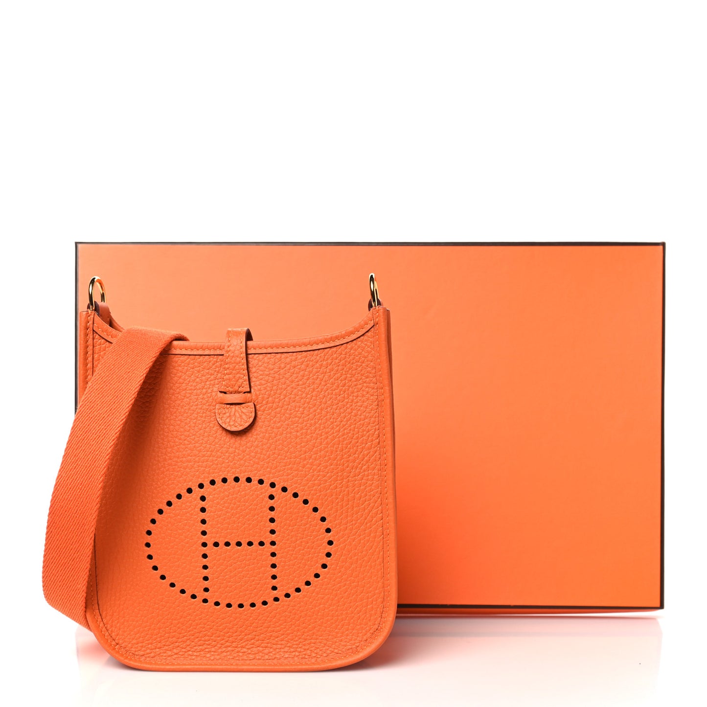 Taurillon Clemence Evelyne TPM Orange