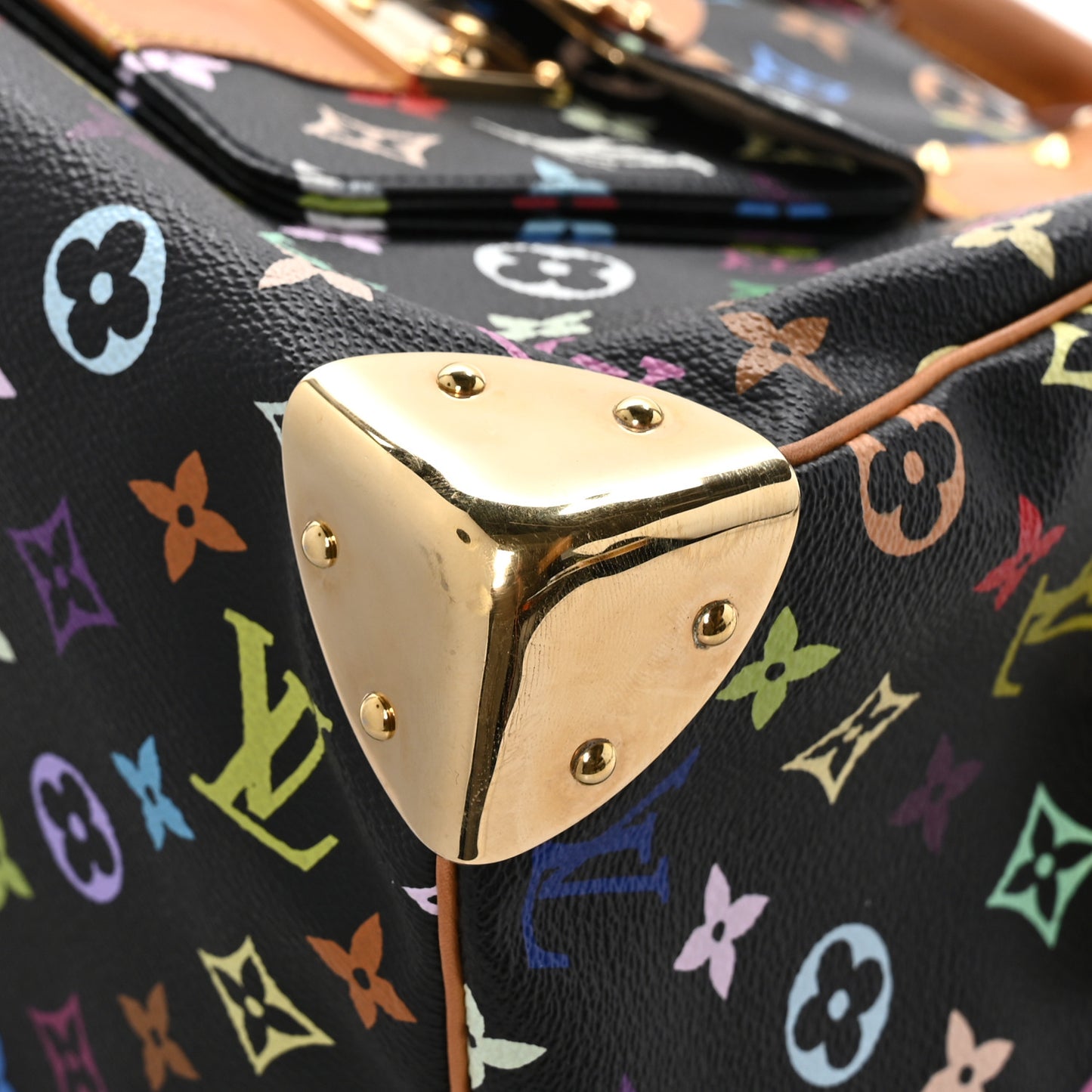 Monogram Multicolor Speedy 30 Black