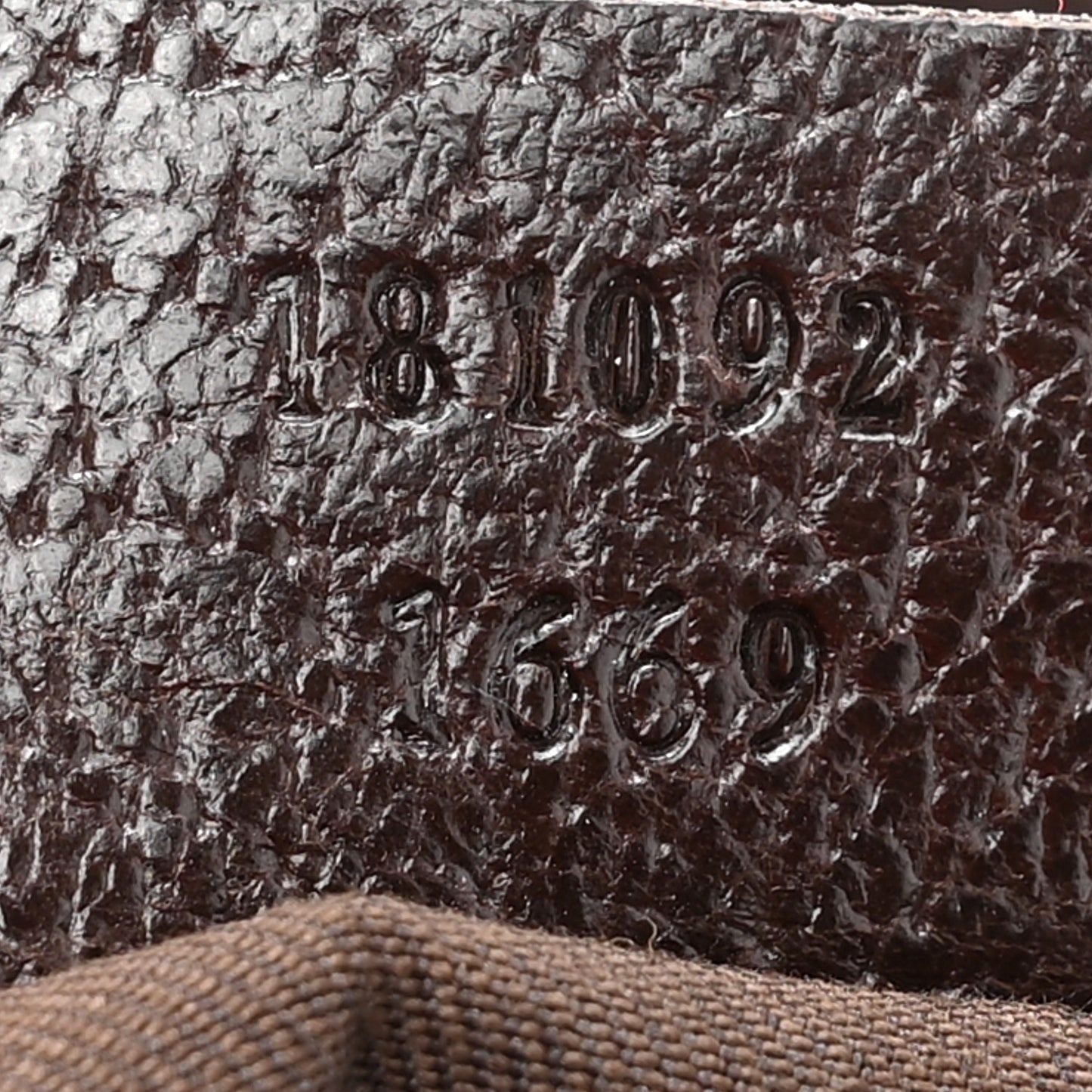 Monogram Medium Half Moon Hobo Dark Brown