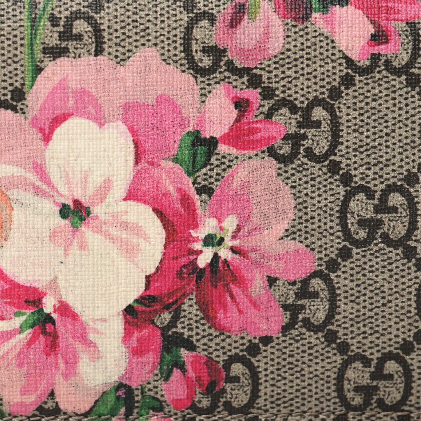 GG Supreme Monogram Blooms Card Case Beige Multicolor Dry Rose