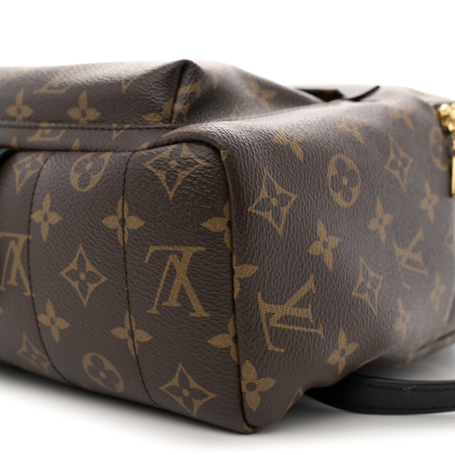 Monogram Palm Springs Backpack MM