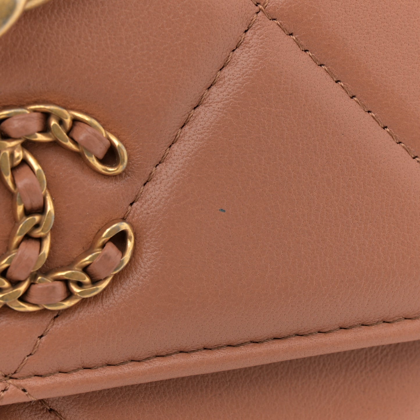 Lambskin Quilted Chanel 19 Wallet On Chain WOC Brown