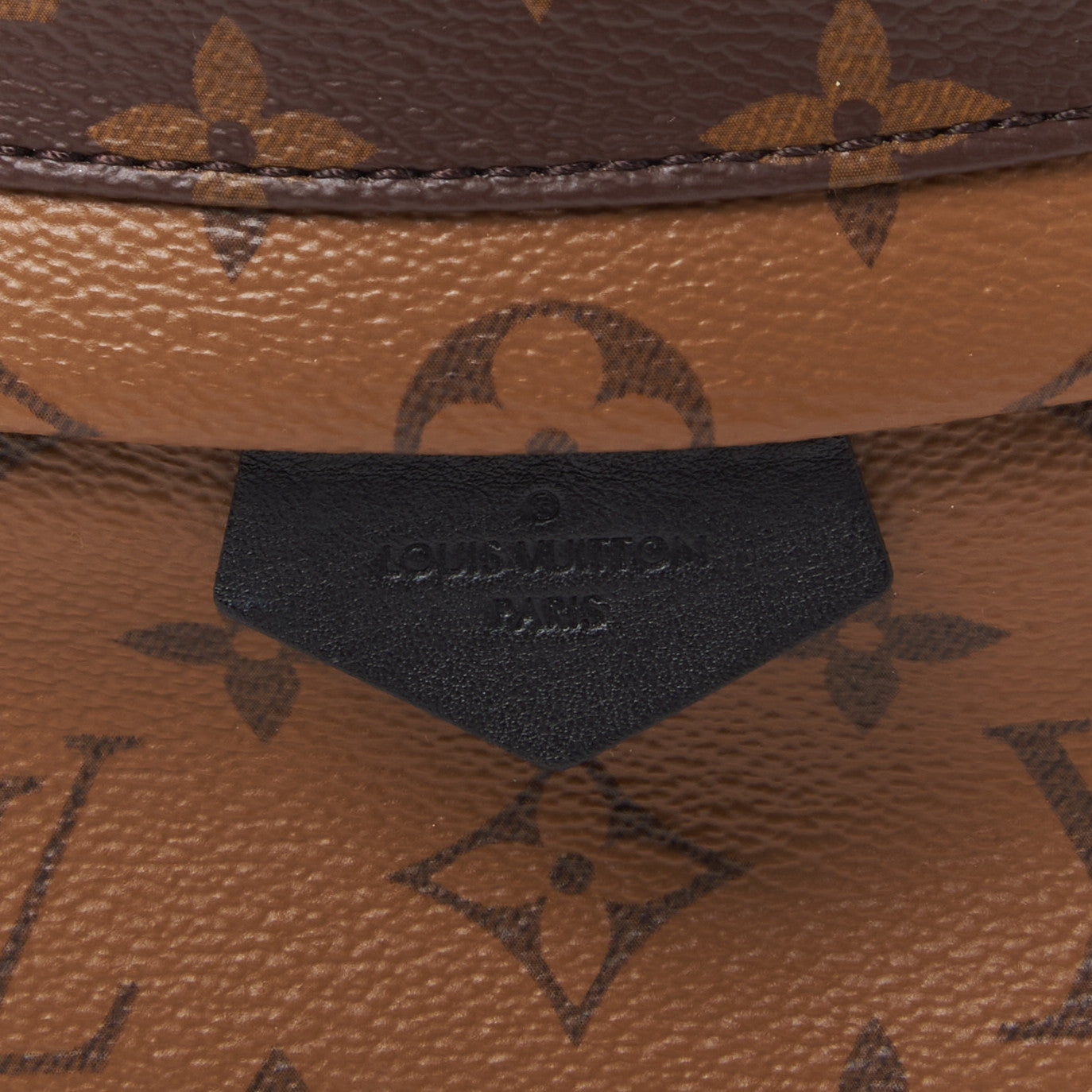 Reverse Monogram Palm Springs Backpack PM