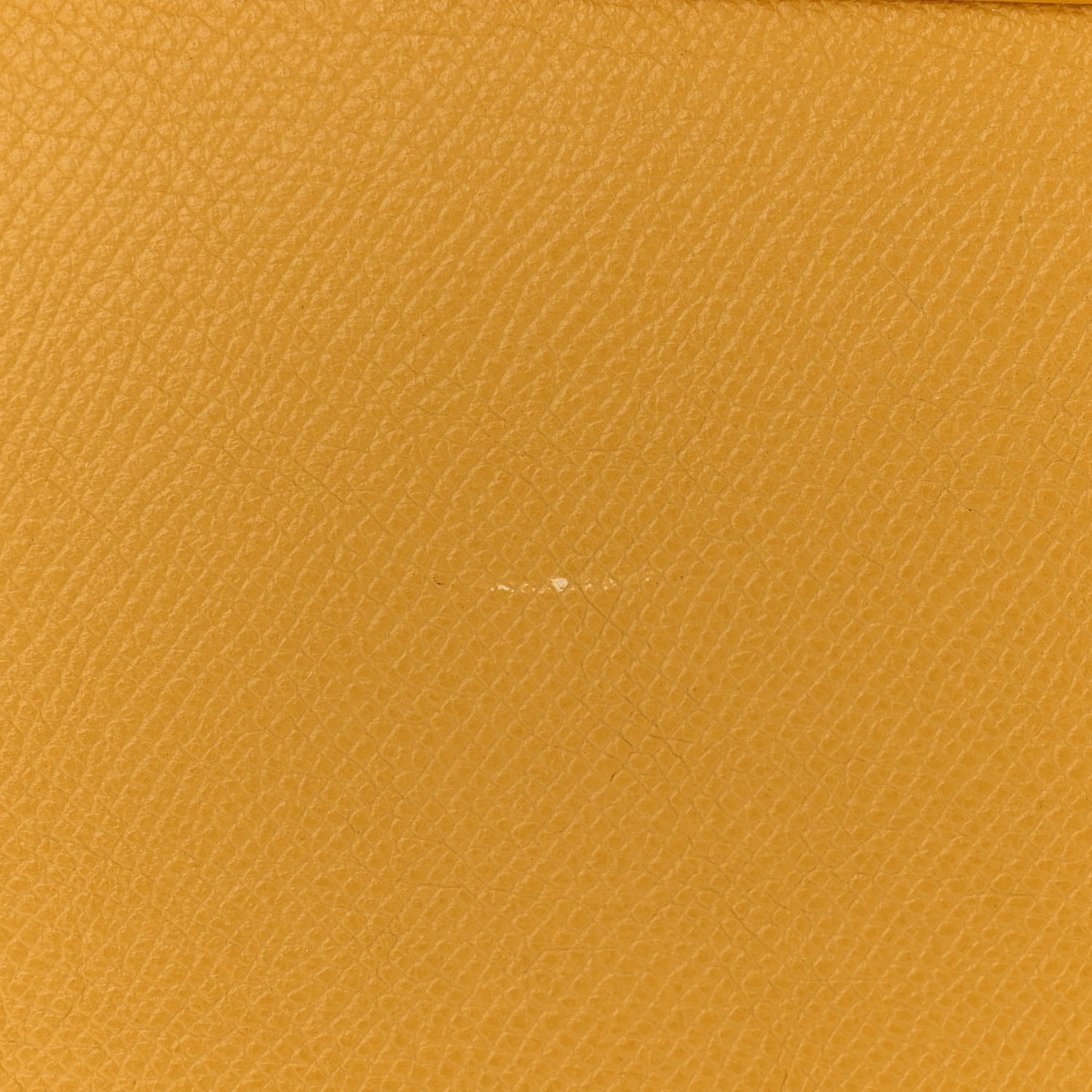 Grained Calfskin Nano Belt Bag Sunflower