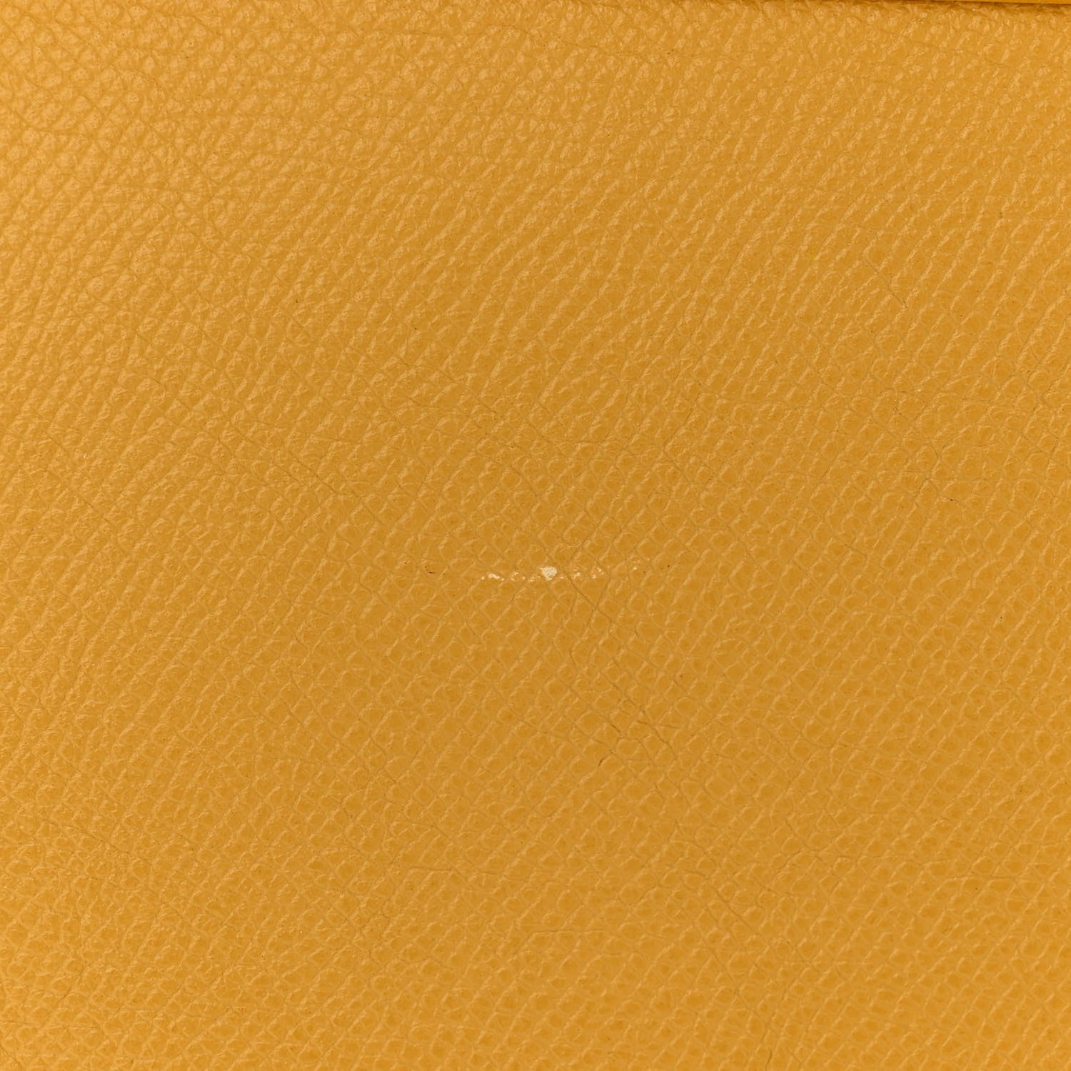 Celine Grained Calfskin Nano Belt Bag Sunflower 12 of 12