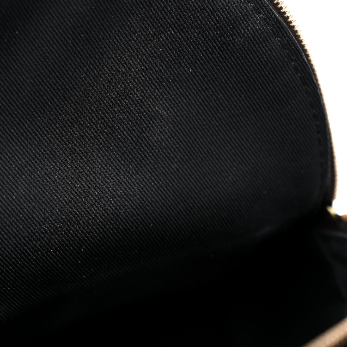 Monogram Palm Springs Backpack Mini