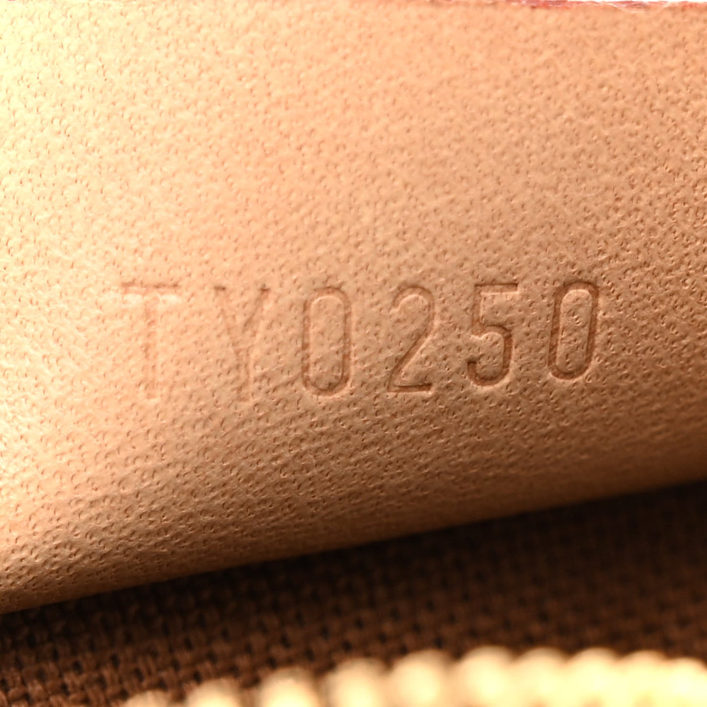Monogram Nano Speedy