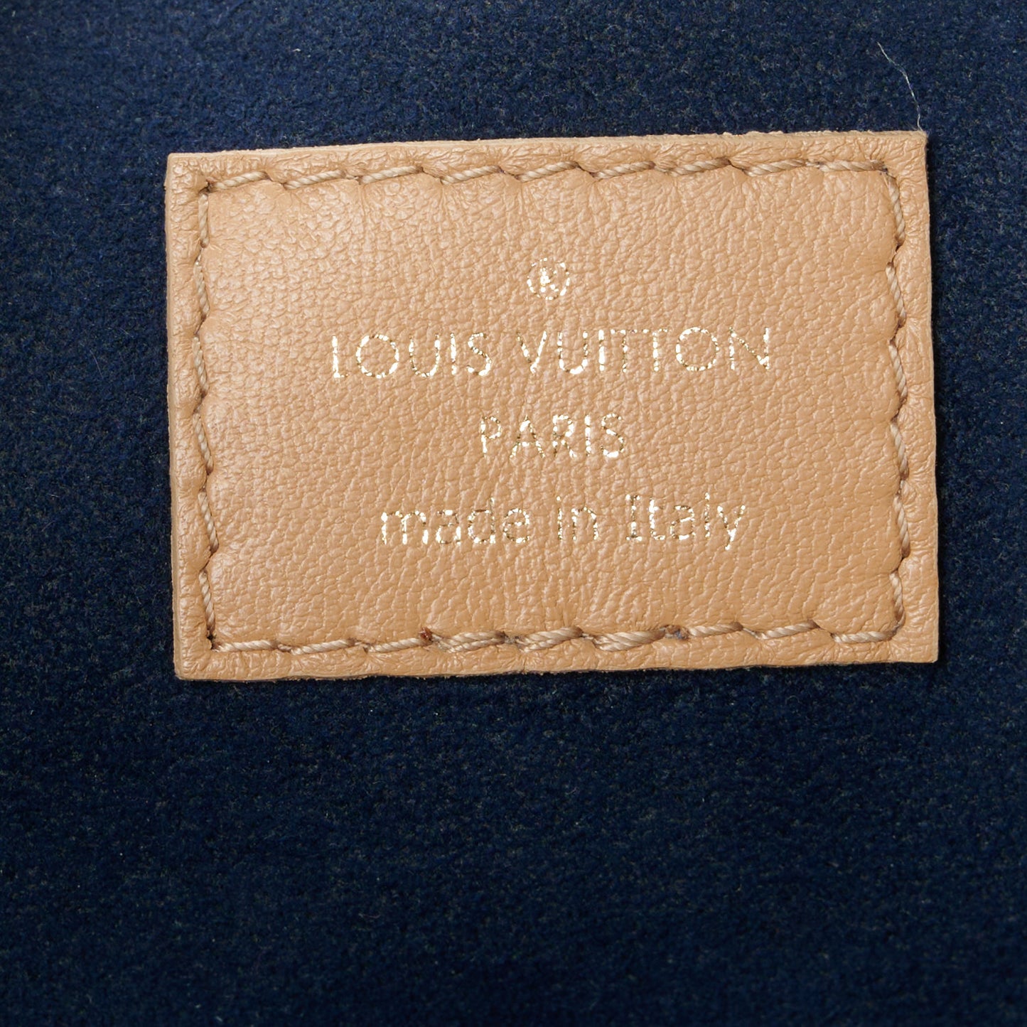 Lambskin Embossed Monogram Coussin PM Camel